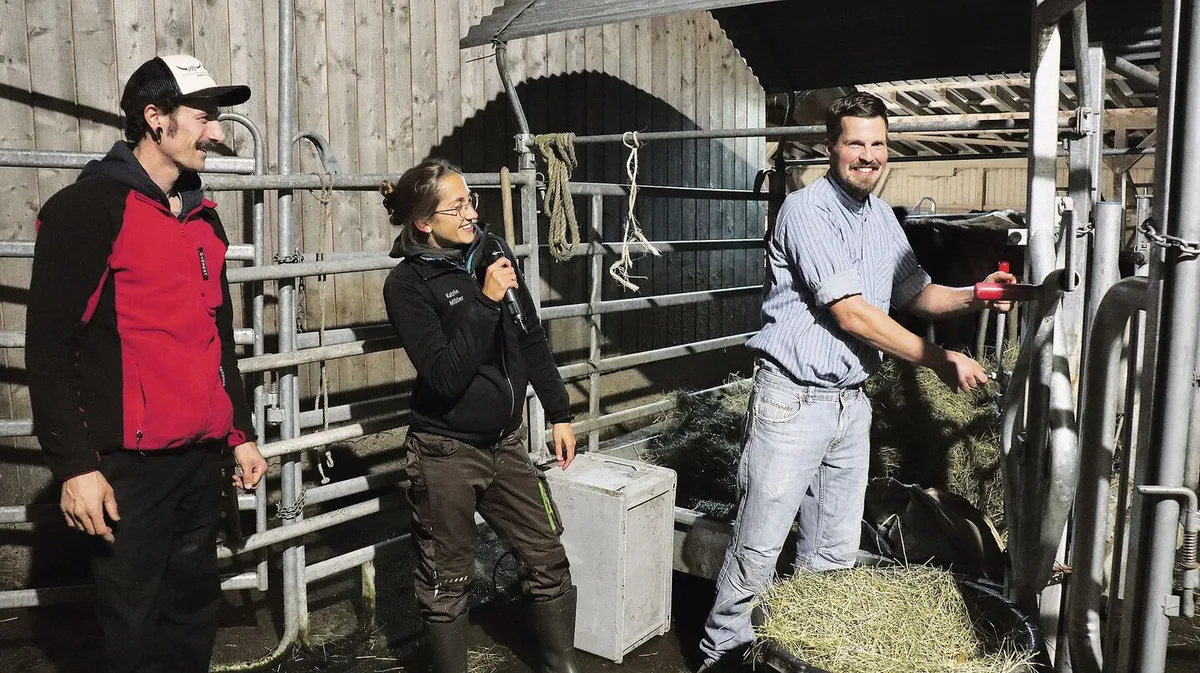 Mit dem Metzger Simon Stocker (r.) tötet Landwirt Michael Herzog (l.) seine Rinder selber. Dafür braucht er ein spezielles Fanggitter, welches es ermöglicht, das betäubte Tier zu befreien.
