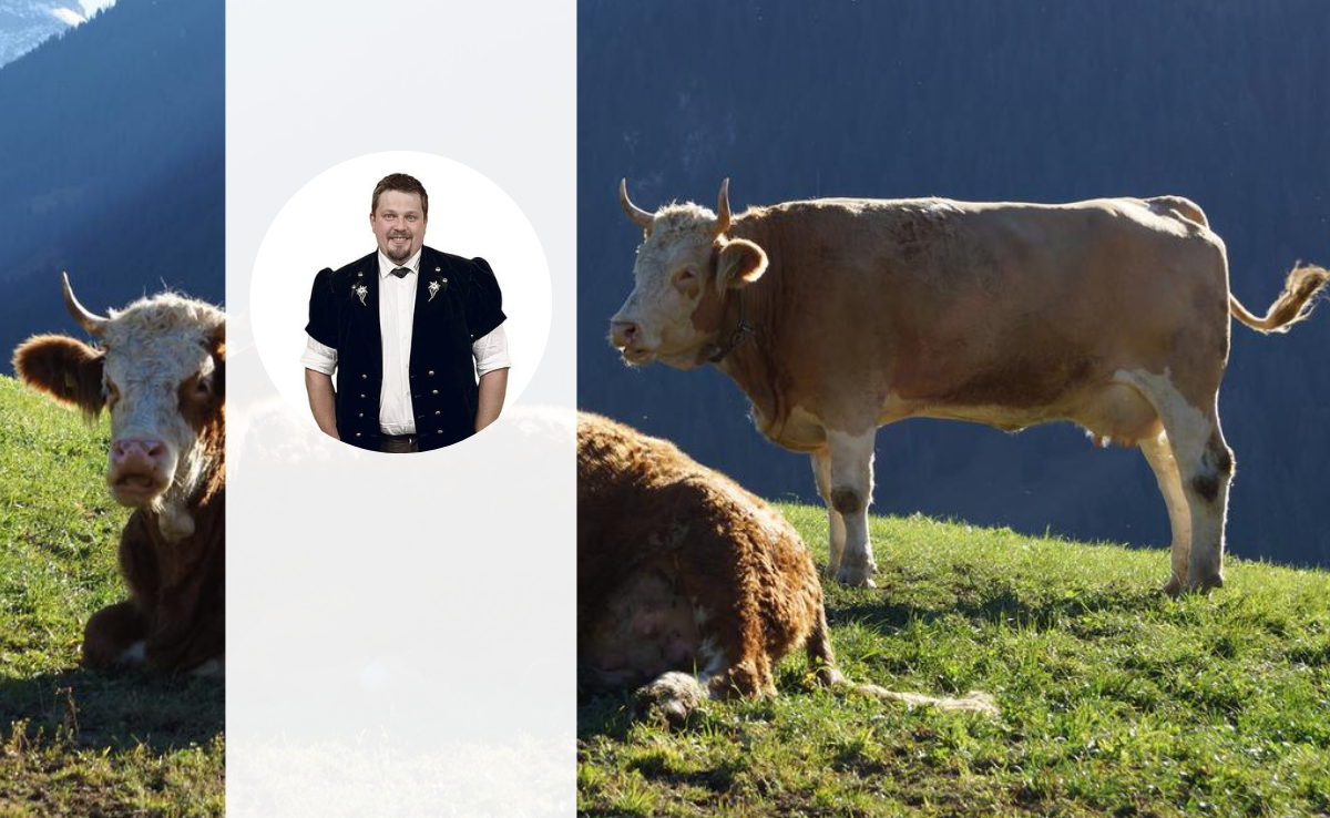 «Die Hörner sind immer noch ein wichtiges Merkmal der Rasse»