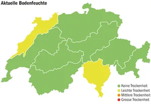 Laut den Bodenwasserdaten wird am 29. März nur im Jura und im Tessin von einer leichten Trockenheit gesprochen. Sonnenschein gab es so viel wie schon lange nicht mehr.