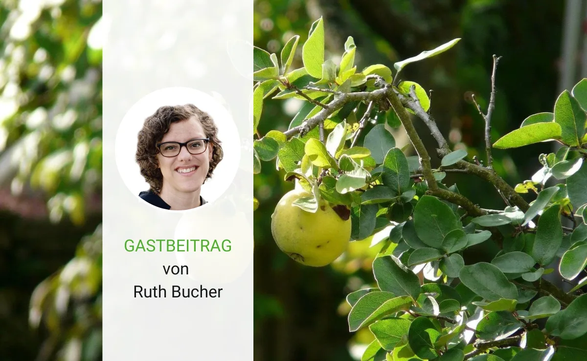 Artikel_Gastbeitrag_BauZ_BucherSpuren Die Spuren von «Grossdädi» sind überall