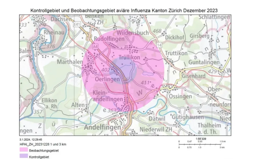 Bildschirmfoto_2024-01-04_um_17.15.44 Die Vogelgrippe grassiert wieder in der Schweiz