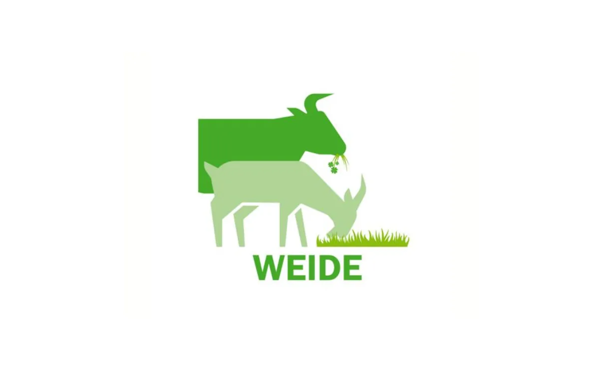 Weide
