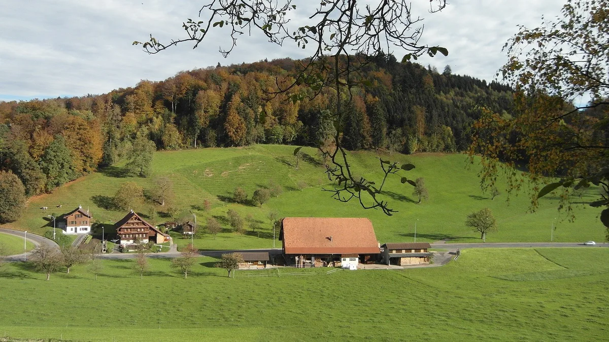 farm-yard-201734_1920 Gestiegene Teuerung trifft Bauernbetriebe – SBV fordert höhere Produzentenpreise