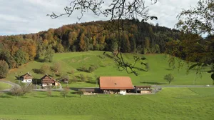 Um die massiv gestiegenen Kosten für die Produktionsmittel sowie die zusätzlichen Aufwände aufgrund neuer Umweltauflagen zu decken, ist eine weitere Verbesserung der Produzentenpreise nötig, so der SBV.