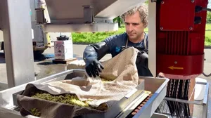Bei Hans Oppikofer lief die Mostpresse bereits anfangs Juli. Er presste grüne Äpfel zu Verjus aus. (Bild und Video et)