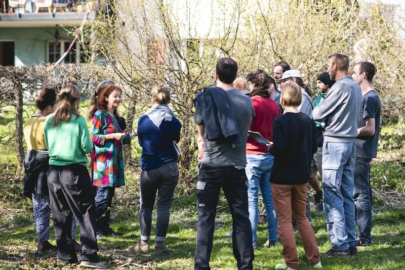6bbde15ff3caf5dcd73ebdc925aad8bc213f4a45 Zum Angebot der Permakultur-Beratung Emmen gehört auch beispielsweise ein Wildkräuterrundgang. (Bilder zVG)