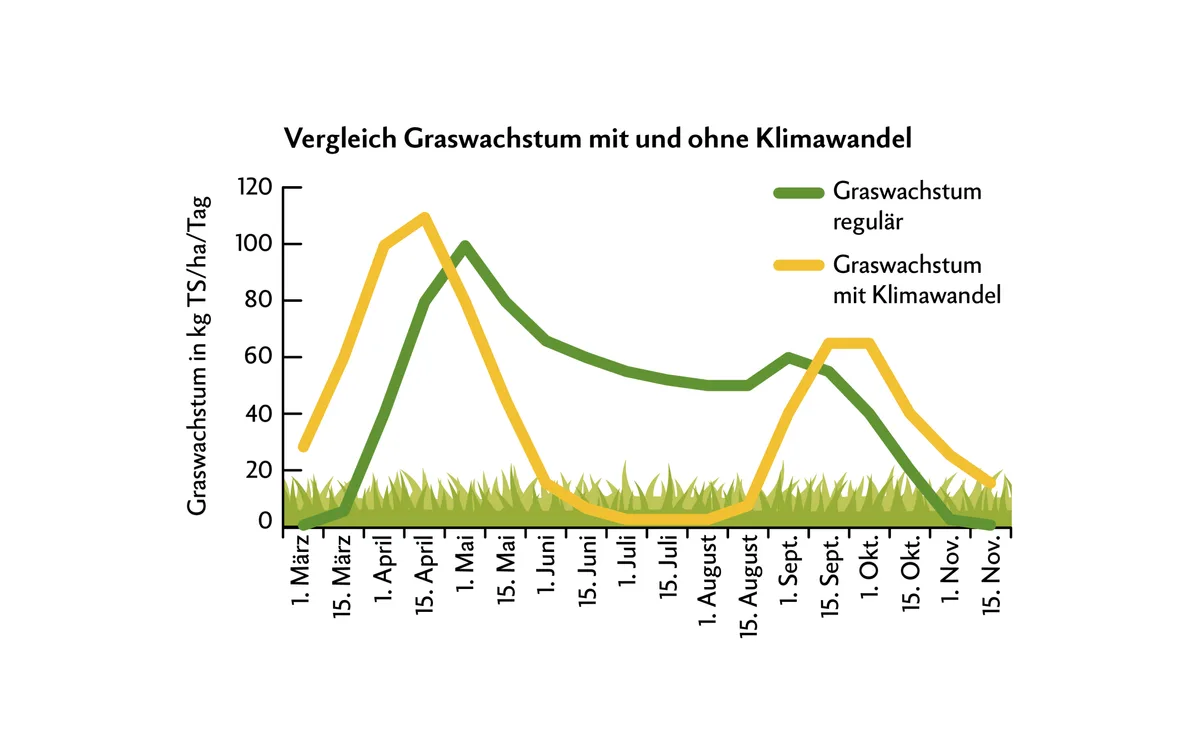 Grün: durchschnittlicher Verlauf des Graswachstums bis zum Jahr 2000. Gelb: bildet das Graswachstum mit klimawandelbedingten Trockenperioden ab.