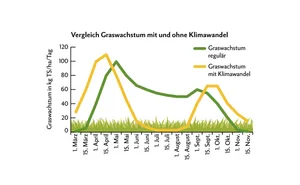 Grün: durchschnittlicher Verlauf des Graswachstums bis zum Jahr 2000. Gelb: bildet das Graswachstum mit klimawandelbedingten Trockenperioden ab.