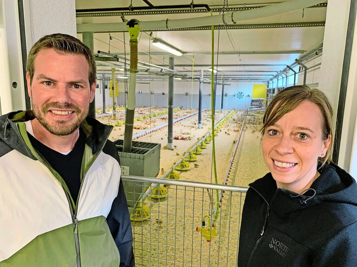 Stephanie und Daniel Sidler mit den Mastpoulets im umgebauten Milchviehstall. Die Hühner sind hier rund eine Woche alt.