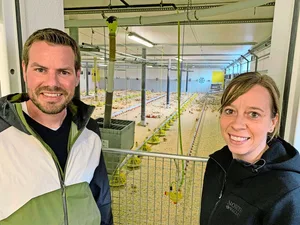 Stephanie und Daniel Sidler mit den Mastpoulets im umgebauten Milchviehstall. Die Hühner sind hier rund eine Woche alt.