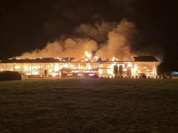 Bauernhausbrand: Ein Vermisster und 500 tote Tiere