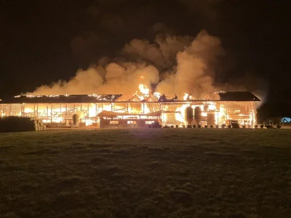 Bauernhausbrand: Ein Vermisster und 500 tote Tiere