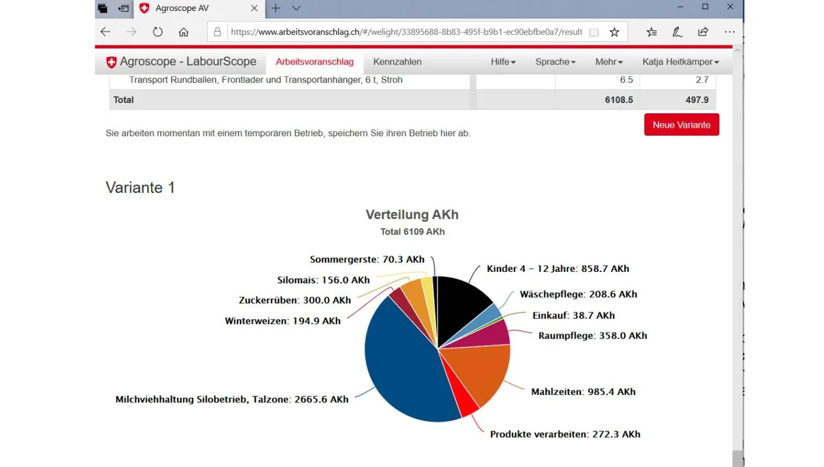 1ecc59106b58177e3119a9db3bf5b083d343d3a1 In der Ergebnisansicht besteht die Möglichkeit, die Resultate in eine PDF- oder eine ExcelDatei zu exportieren. (Screenshot LabourScope)