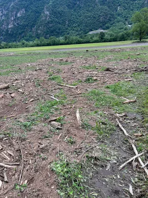 Über 100 ha Kulturland wurden verwüstet. Wann und wie weit sie rekultiviert werden können, wird derzeit abgeklärt.