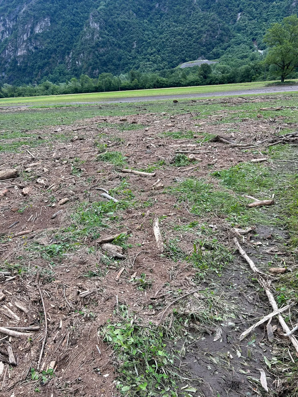 Grosse Solidarität mit den betroffenen Misoxer Bauern