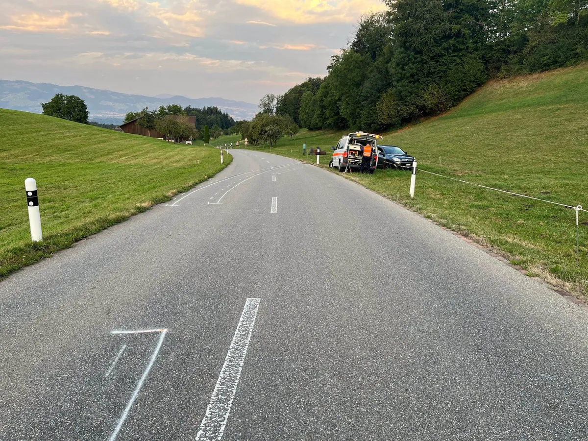 Goldingen Unfall in Goldingen: Angefahrene Kuh wurde eingeschläfert