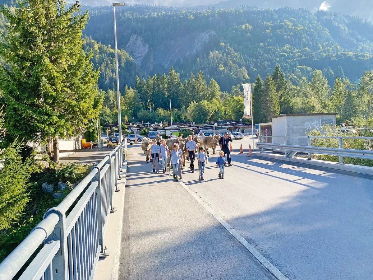 65d64335258f53969d3672d5dcdd61aa34622b8bb9f6a8eececa026bf6ce3566 Sachschäden bei Viehtrieben - wer bezahlt?