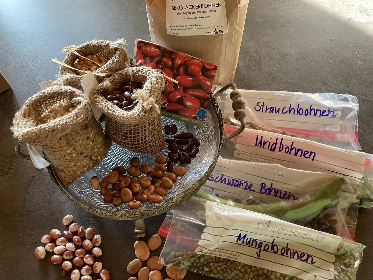 bohnenvielfalt Bühne frei für die wohl wichtigste Hülsenfrucht der Welt!