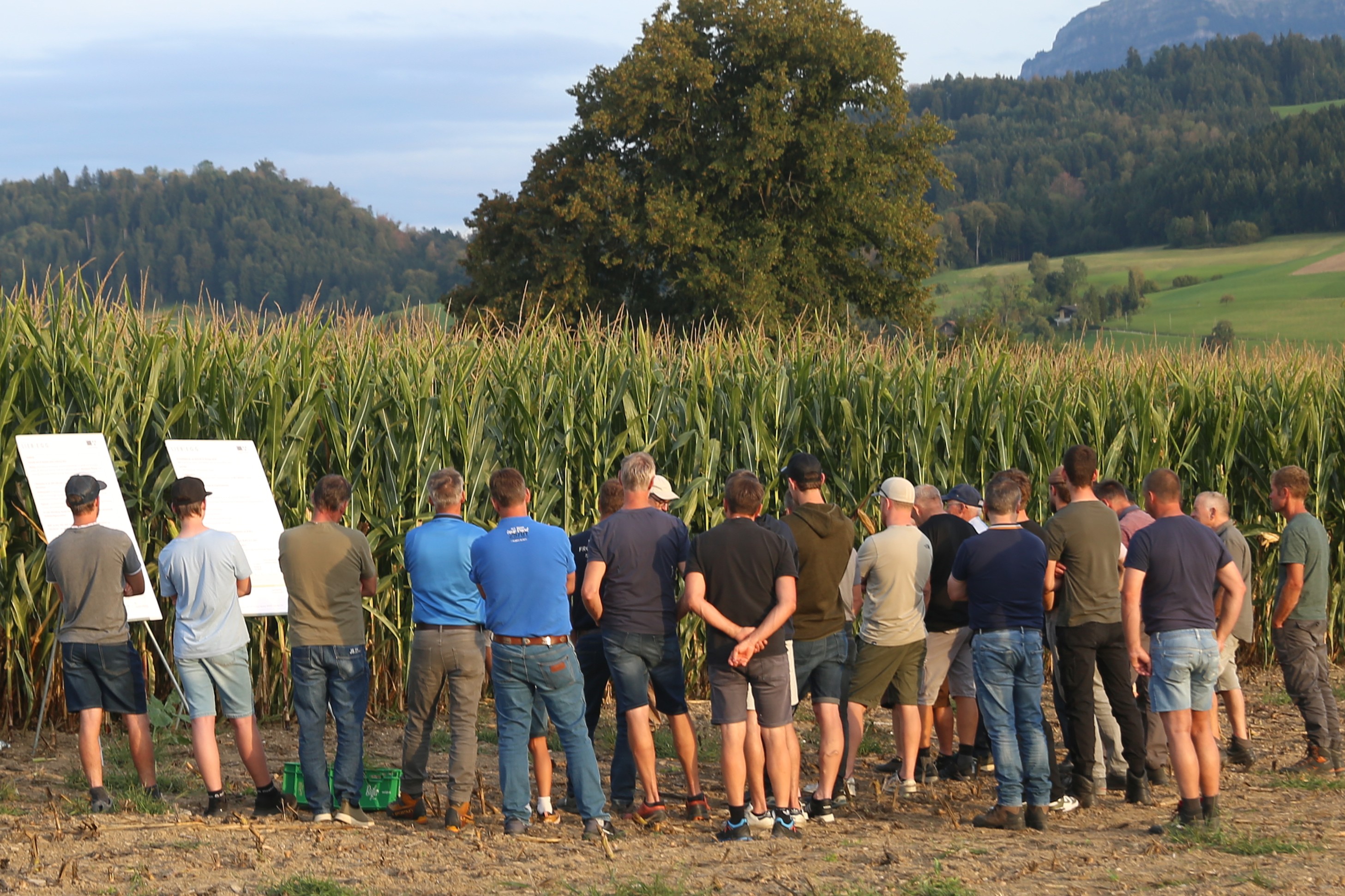 An der Versuchsbesichtigung in Dietwil konnten sich Interessierte an mehreren Posten über Sorten, Anbautechnik und die Bekämpfungspflicht für das Erdmandelgras informieren.