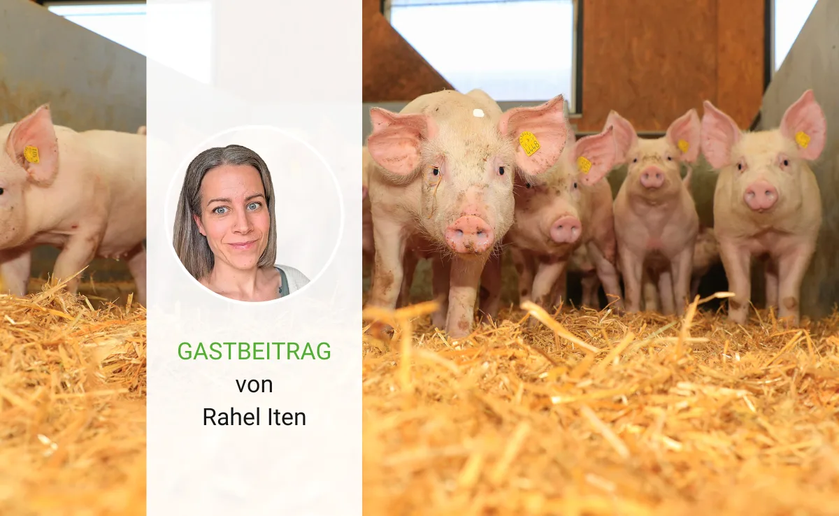 Artikel_Gastbeitrag_BauZ_itenBauerin Bäuerin oder keine Bäuerin?