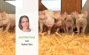 Unsere Autorin hat festgestellt, dass man als Frau eines Landwirts immer irgendwie involviert ist.