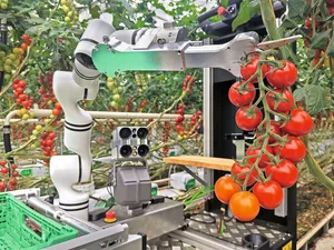 Vielversprechende Pilotphase: Der Pflückroboter von Floating Robotics in Aktion.