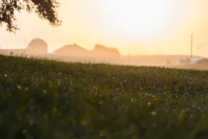 Damit nicht mehr genutzte Gebäude und Anlagen aus der Landschaft verschwinden, will der Ständerat keine Vorschriften, sondern Anreize.