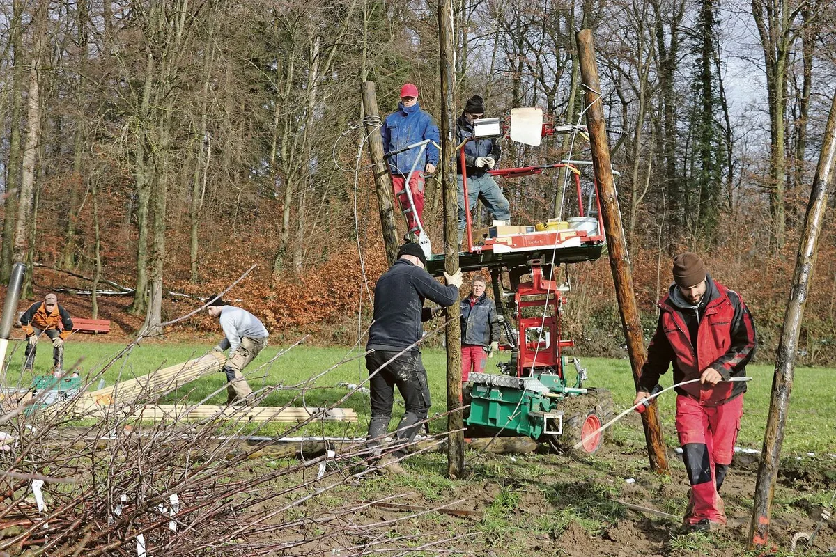 10ee540a538ed069b9dfff0bd9bba35fda88fab2a6a01e0a9ba80b18e950c451 An der ALA 23 sollen die Obstbäume in voller Pracht dastehen