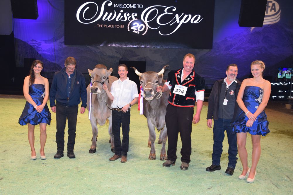 Hakon Alfa (links) aus dem Stall von Thomas Schrackmann, Sarnen, dominierte die Ausstellung. Sie wurde Grand-Champion und gewann den Schöneutertitel.  Reserve-Grand-Champion wurde Aja-ob Kilian Luana von Alfred und Judith Anderegg aus Meiringen. (Bild pf)