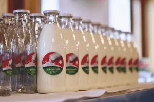 Der Produktionsstandard für «Nachhaltige Schweizer Milch» wurde im September 2019 eingeführt. Die dazu gehörende Marke «swissmilk green» zeichnet Milchprodukte aus.