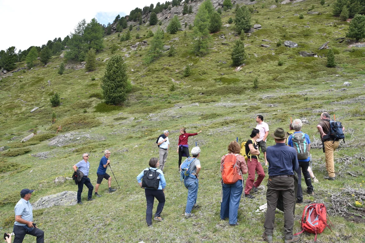 DSC_0022.JPG Oberhalb von Zermatt wurde in einem Forschungsprojekt verbuschte Alpweiden abgebrannt.