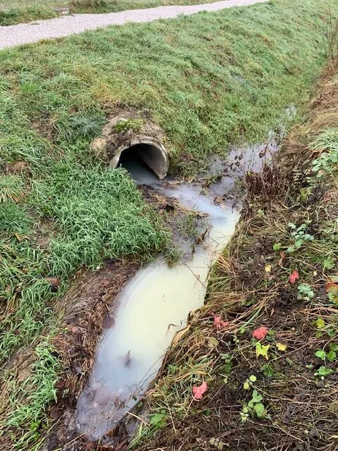 pollution-dun-ruisseau-a-grolley Molke verschmutzt Bach im Kanton Freiburg