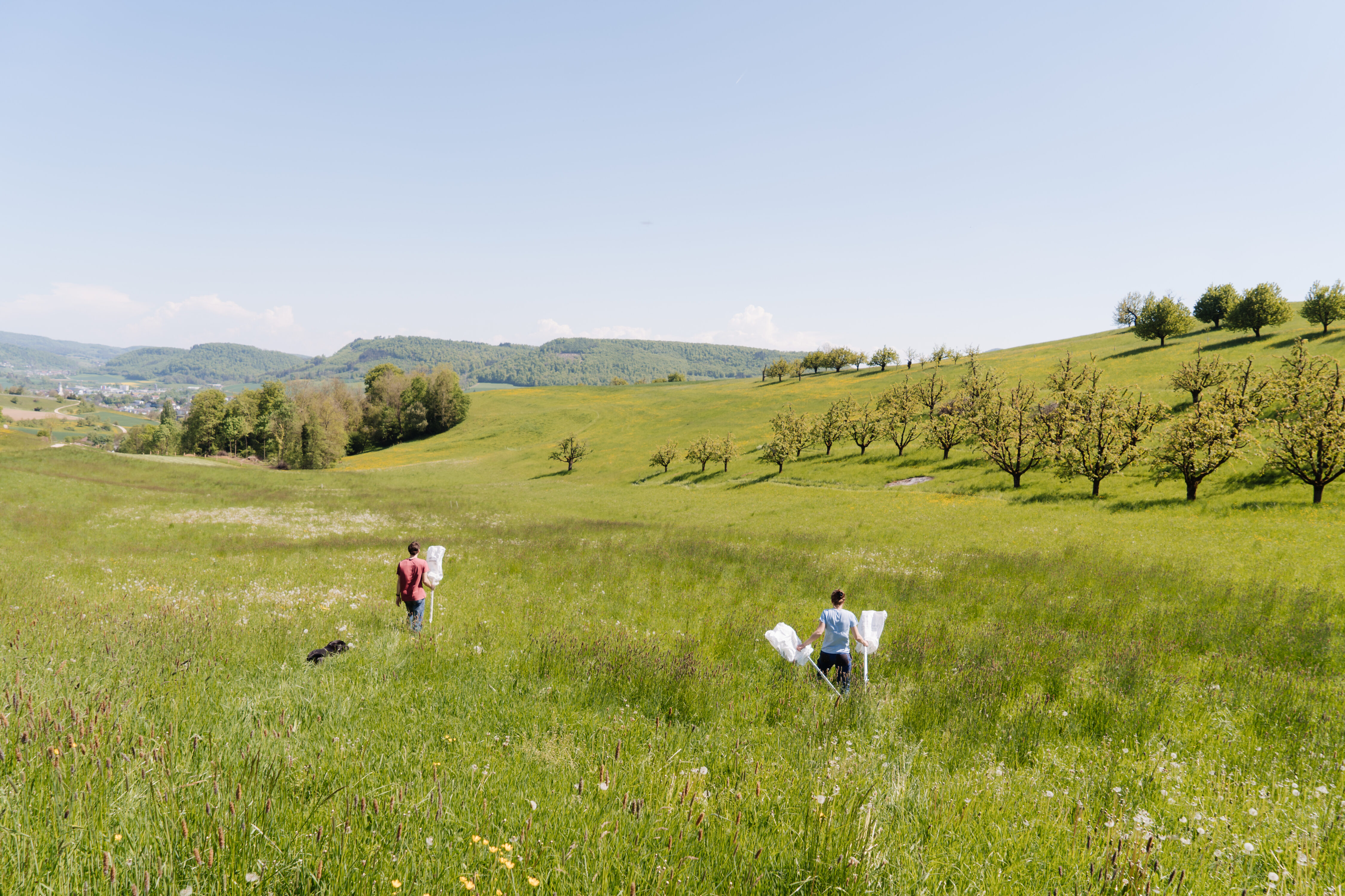 Im Rahmen des Reallabors haben die Forschenden mit den Landwirt(innen) zusammengearbeitet.