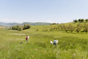 Im Rahmen des Reallabors haben die Forschenden mit den Landwirt(innen) zusammengearbeitet.