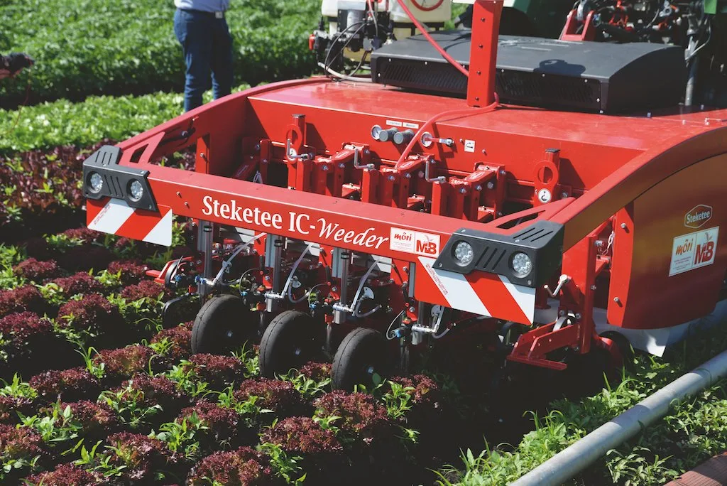 92863c4361b4a8fbd12ff82287fdc9ce8c59cd9b Der Steketee IC-Weeder spritzt und hackt automatisch. Bild: Beat Schmid