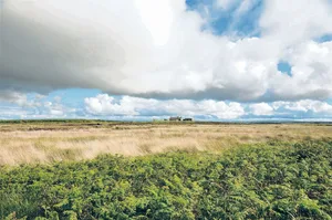 Irlands Landschaften wirken karg und einsam. Doch die Moore auf der grünen Insel weisen eine hohe Biodiversität auf. Durch den Torfabbau wird diese jedoch gefährdet. Zudem entweichen durch den Abbau grosse Mengen CO2 in die Atmosphäre.