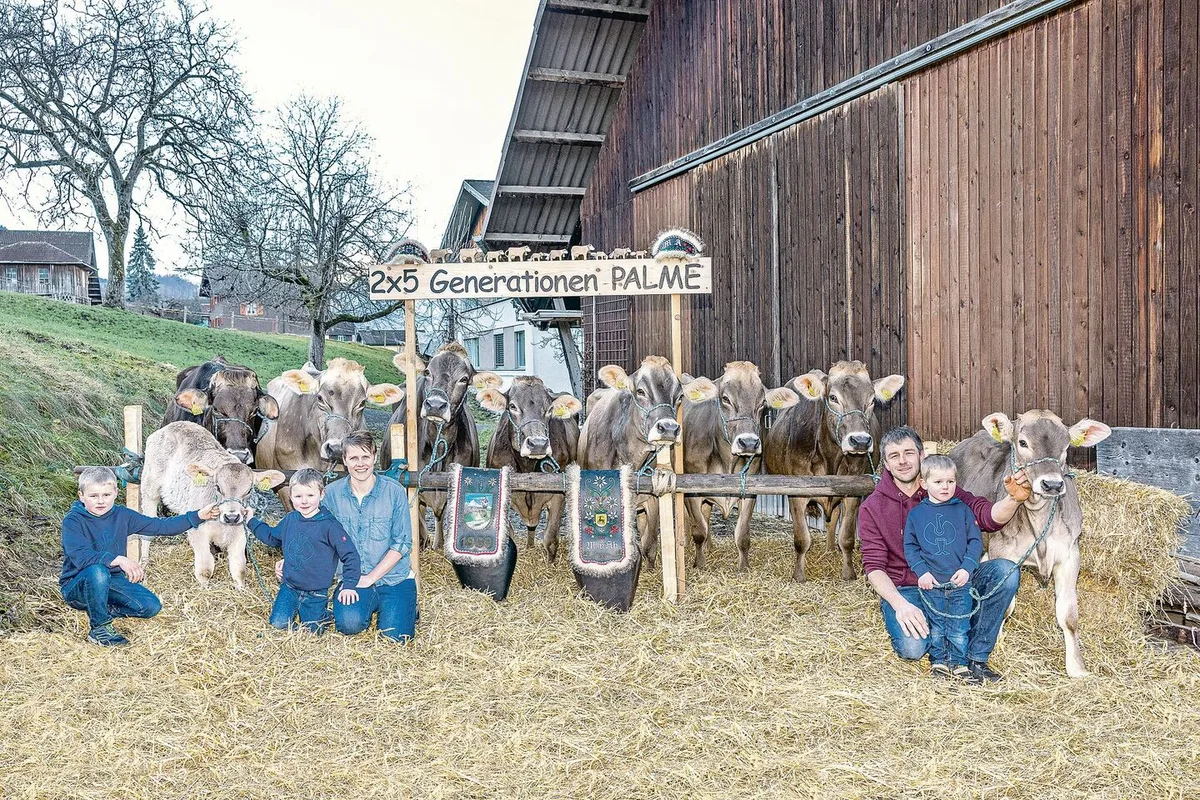 Die Familie Antonia und Markus von Ah-Spichtig, Flüeli-Ranft, mit der grossen Nachkommenschar der Kuh Palme.