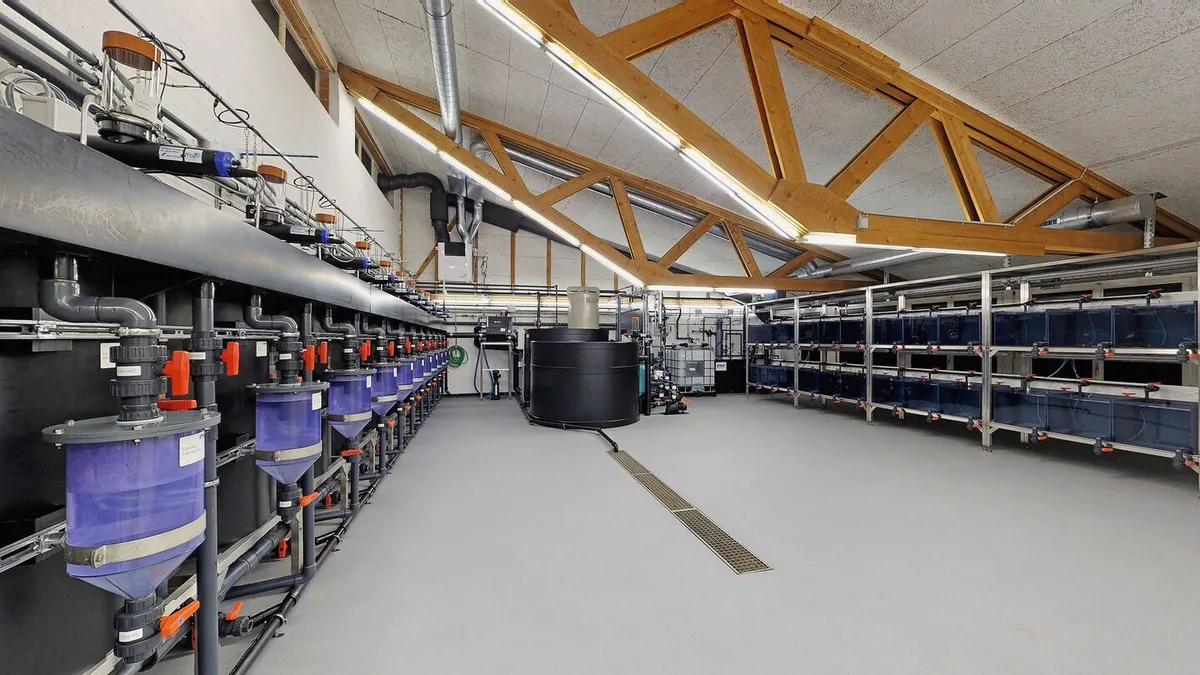 ee50a203735d216be0ca2cceecf376681fbce24549dea3893e811af4ecdb325c Die Kreislaufanlage ist das Herzstück der neue Forschungsanlage für Aquakultur des Aquaforums. Sie ist seit November 2021 in Zollikofen BE in Betrieb.