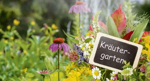 Damit Kräuter üppig gedeihen, lohnt es sich, Zeit in die Planung des Gartens zu stecken.