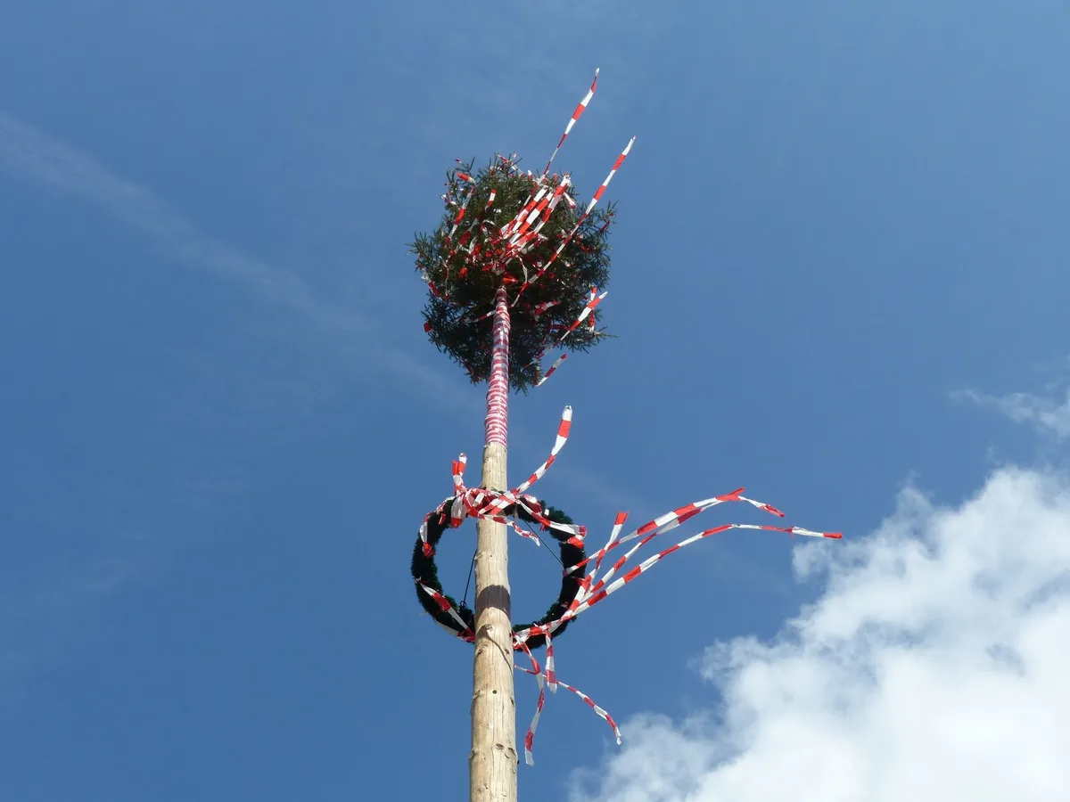 maibaum Ein Wagen voller Mist auf dem Dach und andere 1.-Mai-Streiche von damals