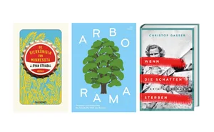 Unsere drei Buchtipps für den Herbst.
