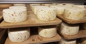 Fermentierte Produkte (z.B. Joghut) und Butter erlebten gleichermassen wie der Käse eine Exportsteigerung während weniger Milchpulver exportiert wurde. (Symbolbild, ji)