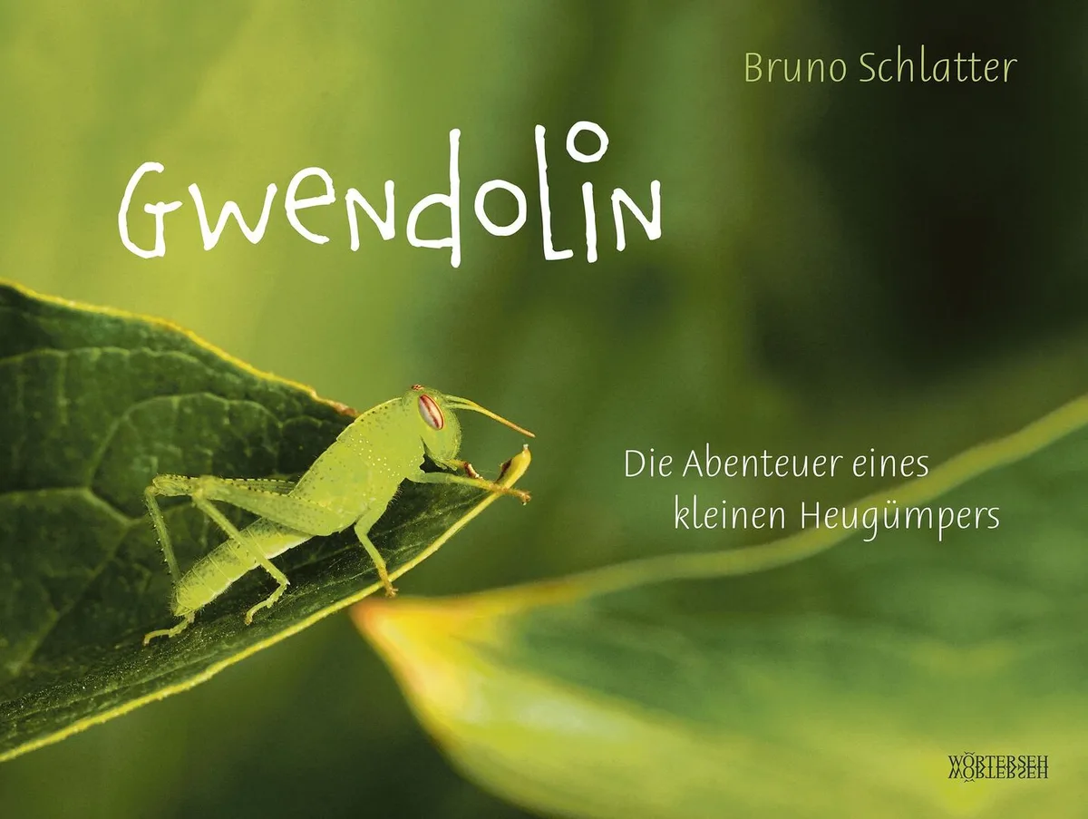 fe0ca069981c62f846fb19a4e4b6525019432ba2539ccf68965e10828a45f2aa Das Bilderbuch «Gwendolin» aus dem Schweizer Wörterseh-Verlag stellt die Welt der Garten-Insekten vor.