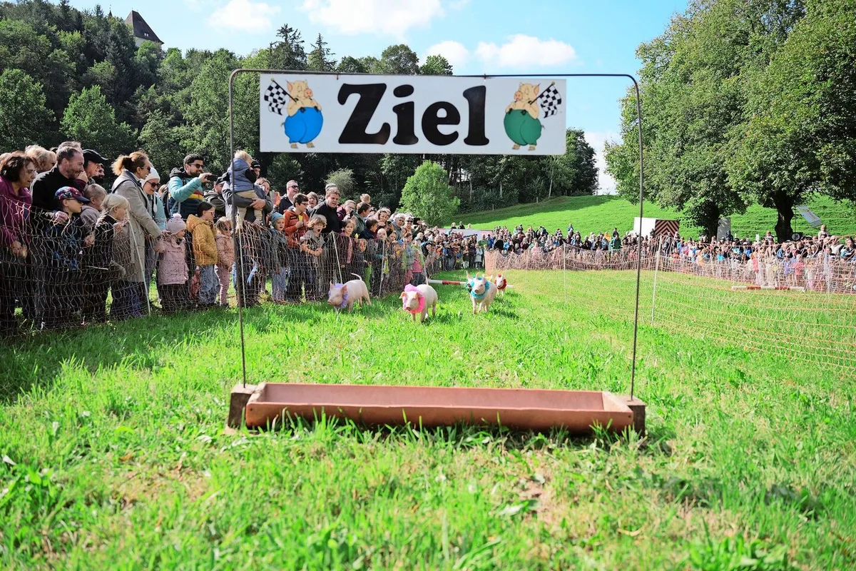 834adacb51f0b261dabfcf68179a565e9140e734168f6b705d2b87bec659da64 Säulirennen am Liebegger Tag: Gegen 5000 Besuchende kamen in Kontakt mit der Land- und Ernährungswirtschaft.