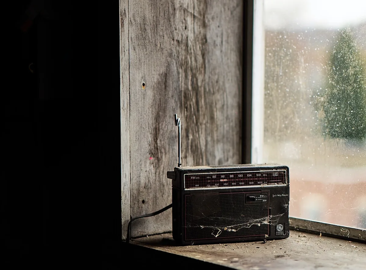 Läuft in Ihrem Kuhstall Musik? Wenn ja, was hören Sie und Ihre Kühe?