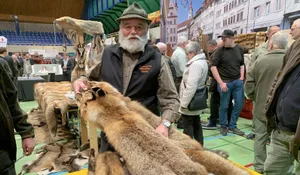 Vitus Lüönd vom Sattel, Schwyz berichtet von schleppendem Absatz für die Fuchsfelle.