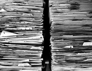 Der Bundesrat soll die Papierstapel bei den Landwirten verkleinern. (Bild pixabay)