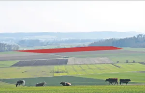 Wo die Zufahrt zur Kiesgrube Beichfeld (roter Bereich) entstehen soll, ist unklar. Der Vorschlag der mitbetroffenen Gemeinde Täuffelen-Gerolfingen passt dem Kanton nicht.