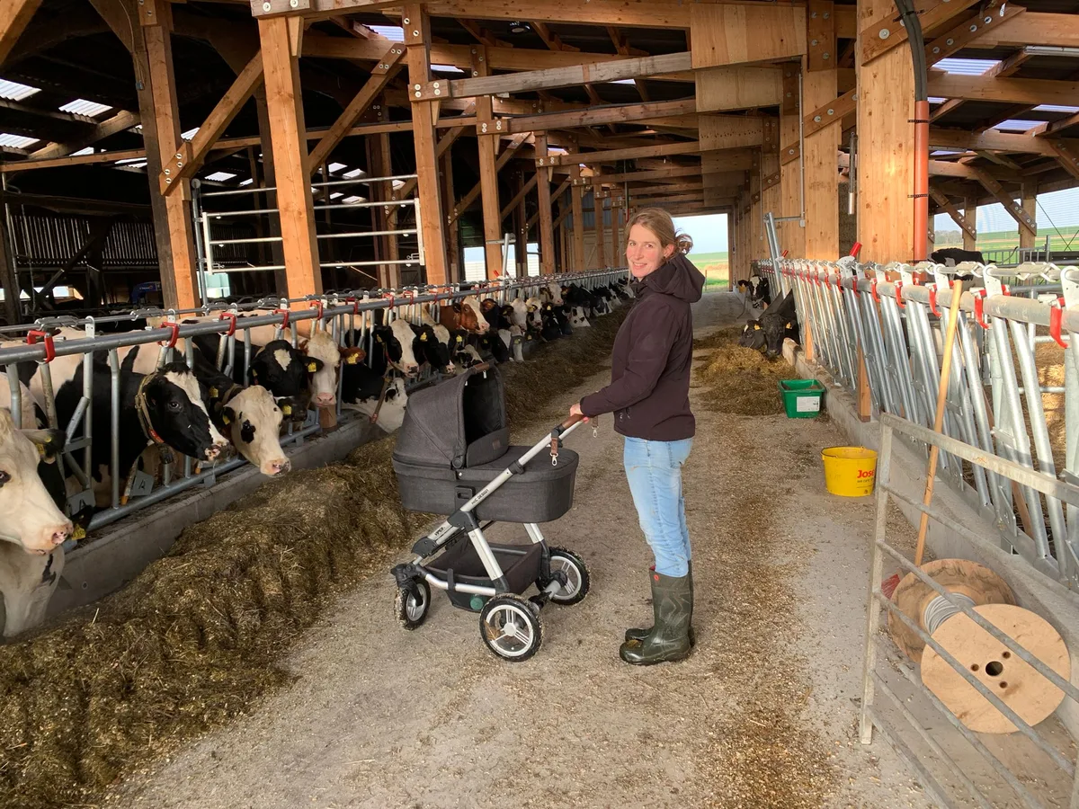 Kinderwagen_Futtertisch Zwei Neuanfänge und ein Abschied in Budjadingen