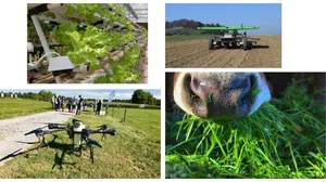 Vertical Farming, Roboter, diverse Anwendungen von Drohnen und klimaschonende Futterzusätze sind Beispiele für landwirtschaftliche «Clean Technlologie». (Bilder Bauz/Pixabay)